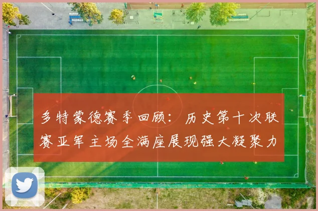 多特蒙德赛季回顾：历史第十次联赛亚军主场全满座展现强大凝聚力